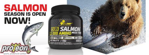 d8a2d985db8cd986d988 d8b3d8a7d984d985d988d986 d9bed8b1d988 daafd984d8af 12000 d8a7d984db8cd985d9be 65a860cb8a2d5