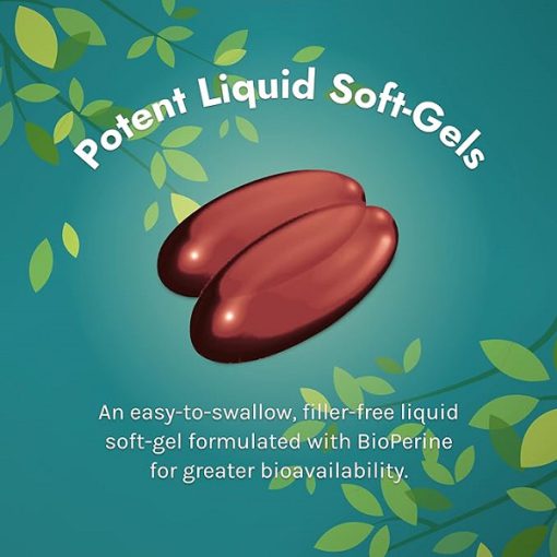 d8a7d981d8b2d8a7db8cd8b4 d8afd987d986d8afd987 d8aad985d8b1daa9d8b2 d8a8d8b1d8a7db8cd986 d8a7d988db8cdaa9 d8b1d8af d8a7d8b1d988db8cd986 65fb6a710b910