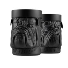 بی سی ای ای سگ زوماد لند