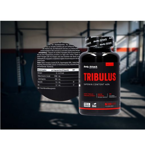 d8aad8b1db8cd8a8d988d984d988d8b3 d8a8d8a7d8afdb8c d8a7d8aadaa9 150 daa9d9bed8b3d988d984 body attack tribulus terrestris 2400 65a862cc11772