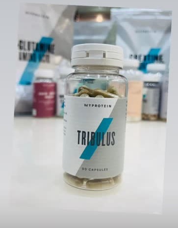 d8aad8b1db8cd8a8d988d984d988d8b3 d985d8a7db8c d9bed8b1d988d8aadb8cdb8cd986 90 d8b9d8afd8afdb8c 65a85e328bfd3