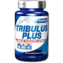 تریبولوس پلاس کوامترکس