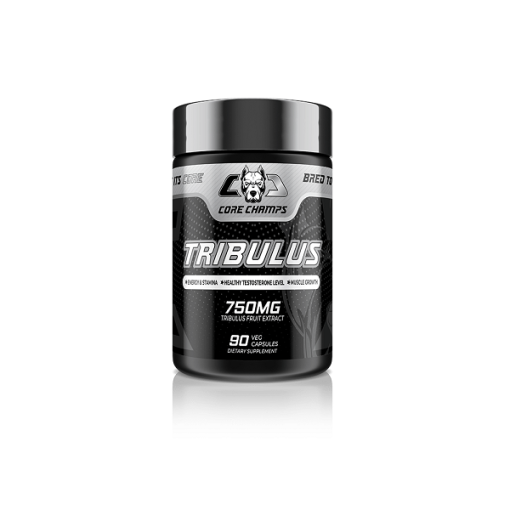 d8aad8b1db8cd8a8d988d984d988d8b3 daa9d988d8b1 da86d985d9bed8b3 core champs tribulus 65a860bc57d64