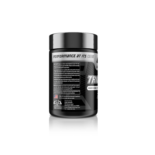 d8aad8b1db8cd8a8d988d984d988d8b3 daa9d988d8b1 da86d985d9bed8b3 core champs tribulus 65a860bf73b57