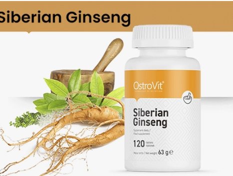 d8acd986d8b3db8cd986daaf d8a7d8b3d8aad8b1d988d988db8cd8aa d982d8b1d8b5db8c 65a8655698d56