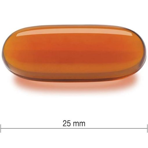 d984d8b3db8cd8aadb8cd986 d8acd985db8cd8b3d988d986 1200 d985db8cd984db8c daafd8b1d985 100 d8b9d8afd8af 65a86f7300fb5