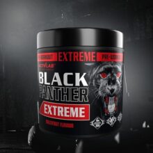 d985daa9d985d984 d9bed985d9be d8a8d984daa9 d9bed986d8aad8b1 d8a7daa9d8b3d8aad8b1db8cd985 d8a7daa9d8aadb8cd988 d984d8a8 activlab black panther ex 65fb833017ac9