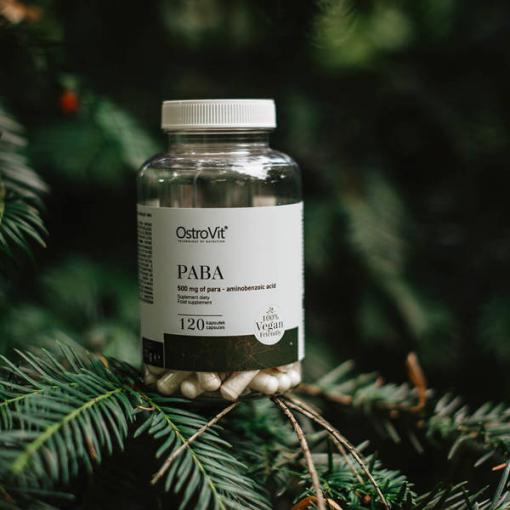 d9bed8a7d8a8d8a7 d988daafd8a7 d8a7d8b3d8aad8b1d988db8cd8aa ostrovit paba vege 65a864adbf56e