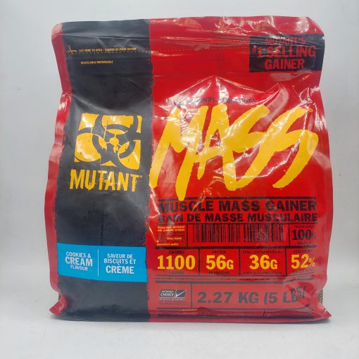 d9bed8b1d988d8aad8a6db8cd986 daafdb8cd986d8b1 d988db8cd8aa d985d8b3 d985d988d8aad8a7d986d8aa mutant mass weight gainer protein 65a85a3d2855a