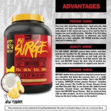 d9bed988d8afd8b1 d9bed8b1d988d8aad8a6db8cd986 d988db8c d8a7db8cd8b2d988d984d987 d985d988d8aad8a7d986d8aa mutant iso surge 65a86477d782d