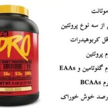 d9bed988d8afd8b1 d9bed8b1d988d8aad8a6db8cd986 d988db8c d9bed8b1d988 d985d988d8aad8a7d986d8aa mutant pro 65a8619629eb7 e1706197209909