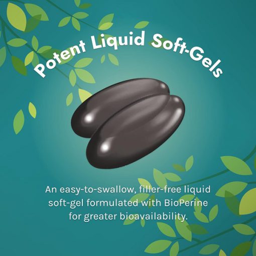 da86d8b1d8a8db8c d8b3d988d8b2 d981d988d8b1d8b3daa9d988d984db8cd986 d8a7d8b1d988db8cd986 d986da86d8b1d8a7d984d8b2 irwin naturals forskolin 65fb7f061cdfa