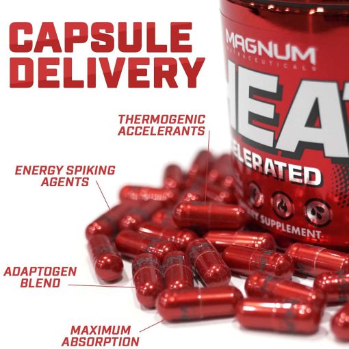 da86d8b1d8a8db8c d8b3d988d8b2 d987db8cd8aa d985daafd986d988d985 65a85c26bb1bc