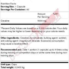 daa9d8b1d8a7d8aadb8cd986 d985daafd8a7 daa9d9bed8b3 1250 d8a7d984db8cd985d9be 65a85e919a7d9