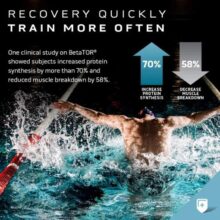 daa9d984db8cd8b1 d985d8a7d8b3d984 d985d8a7d8b3d984 d8aadaa9 42 d8b9d8afd8afdb8c muscletech clear muscle 65a85bdc11f4e