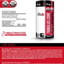 daa9d9bed8b3d988d984 d8aad8b1db8cd8a8d988d984d988d8b3 d9bed8b1d988 d8b3d984 daa9d988d8b1 65a860ffba0b3