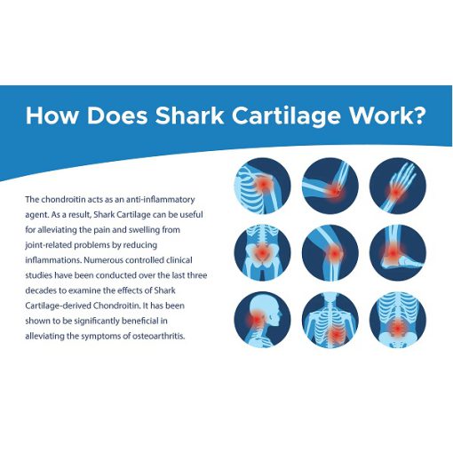 کپسول شارک کارتیلیج 750 استرالین فارما کمک به کاهش التهاب و خشکی مفاصل 6654cda533e0a.jpeg